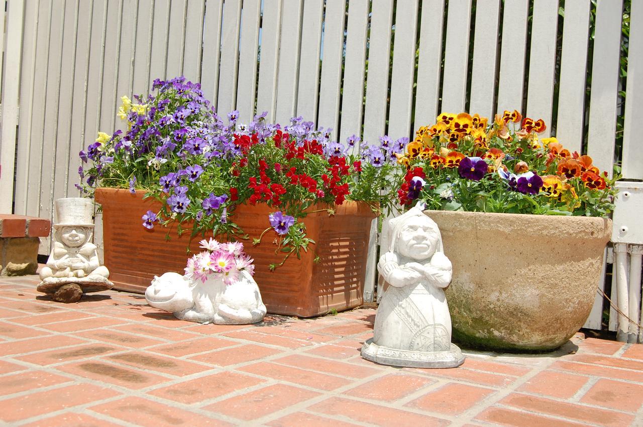 Cheshire Cat Inn & Cottages Santa Bárbara Exterior foto